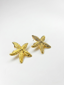 ARETES ESTRELLAS DEL MAR